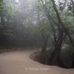 Mysty road to Seokguram grotto
